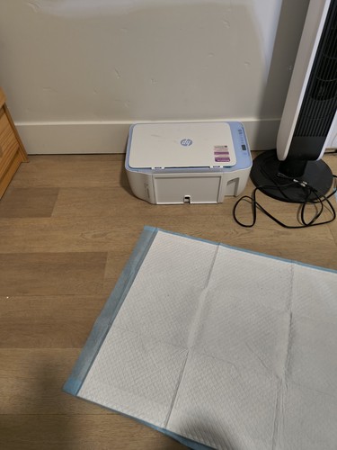2800e desk jet - hp, printer